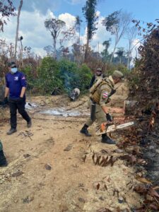 Imagem da notícia - Tamoiotatá 3: Sétima fase da Operação resulta em mais de R$ 10,2 milhões de multas aplicadas