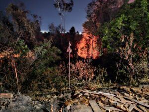 Imagem da notícia - PMAM prende mais de 50 pessoas por invasão de terra e crimes ambientais no Distrito Industrial