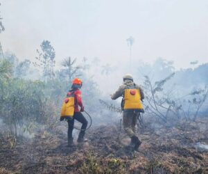 Imagem da notícia - Aceiro 2023: Operação já combateu 2.074 incêndios no interior do estado