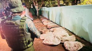 Imagem da notícia - Em Novo Airão, Polícia Militar do Amazonas apreende 194 quelônios