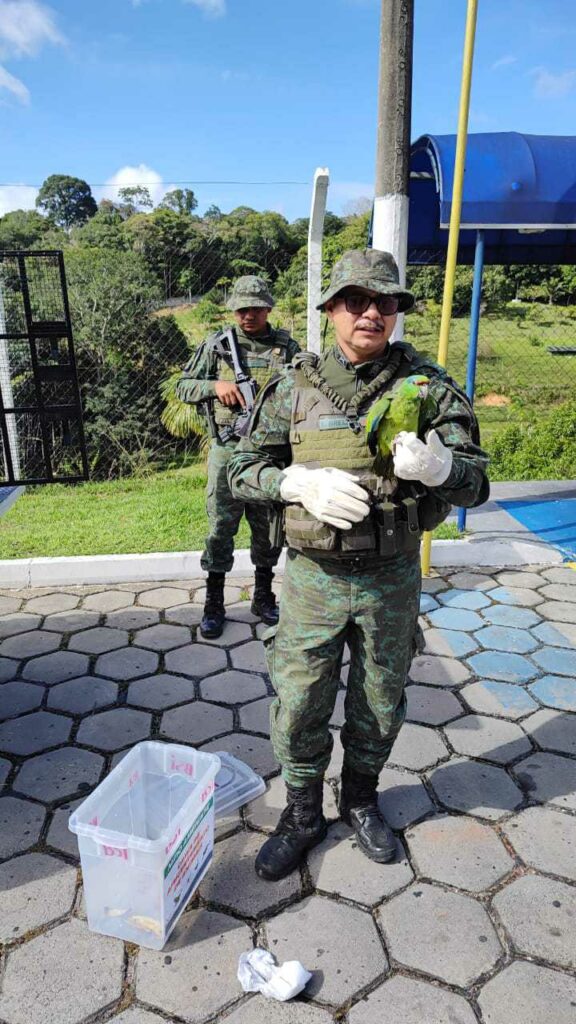 PMAM CPAMB RESGASTE DE PAPAGAIO 1