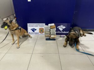 Imagem da notícia - Em 2023, denúncias enviadas ao 181 resultaram na apreensão de mais de 3 toneladas de drogas e na prisão de 74 pessoas