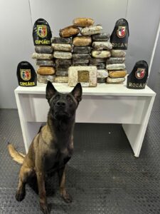 Imagem da notícia - Base Arpão 2: Mais de 30 kg de entorpecentes são apreendidos em embarcação no município de Barcelos