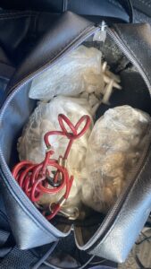 Imagem da notícia - Em Iranduba, Polícia Militar do Amazonas prende homem por posse de drogas