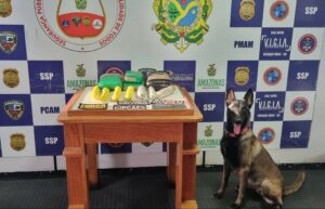 Imagem da notícia - Base Arpão 1: Cadela de faro para narcóticos localiza mais de 8kg de droga em embarcação em Coari