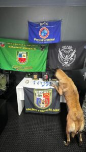 Imagem da notícia - Base Arpão 2: Em 24 horas, PMAM apreende drogas, armas e munições em Barcelos