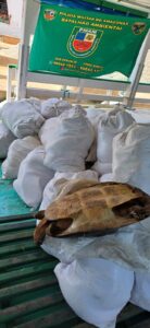 Imagem da notícia - Polícia Militar do Amazonas apreende cerca de duas toneladas de pescado ilegal