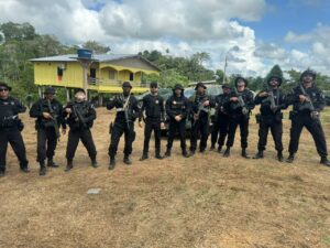 Imagem da notícia - Em Boca do Acre, PC-AM e Ibama deflagram Operação Castanheira para apurar desmatamento ilegal