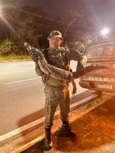 Imagem da notícia - Polícia Militar do Amazonas resgata preguiça e jacaretinga em Manaus