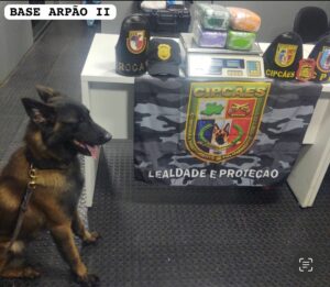 Imagem da notícia - Base Arpão 2: Mulher é presa com cinco quilos de drogas em embarcação em Barcelos