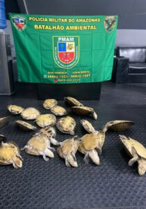 Imagem da notícia - Base Arpão 2: PMAM prende homem procurado por homicídio praticando crime ambiental na região de Barcelos