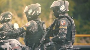 Imagem da notícia - <strong src=