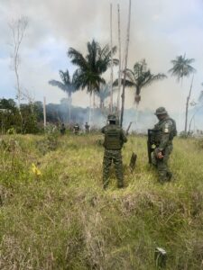 Imagem da notícia - Polícia Militar do Amazonas prende três homens envolvidos em crimes ambientais