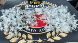 Imagem da notícia - Em Novo Airão, Polícia Militar do Amazonas apreende mais de 300 trouxinhas de drogas