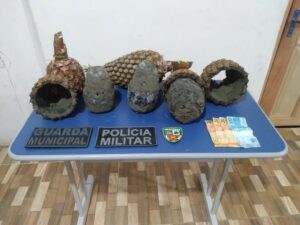 Imagem da notícia - PMAM apreende 5kg de pasta-base de cocaína dentro de abacaxis