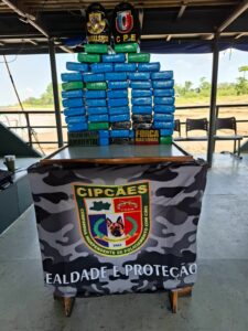 Imagem da notícia - <strong src=