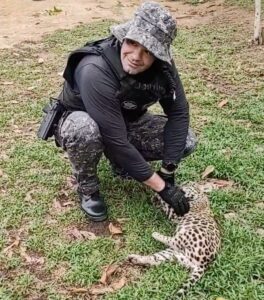 Imagem da notícia - <strong src=