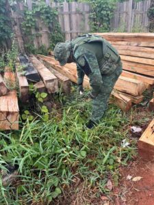 Imagem da notícia - <strong src=