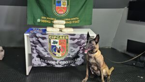 Imagem da notícia - <strong src=