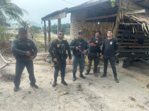 Imagem da notícia - <strong src=