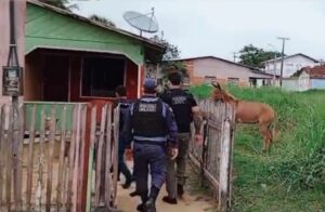 Imagem da notícia - Operação Corruptio: PC-AM, PC-AC e PMAM cumprem quatro mandados de busca e apreensão por corrupção passiva, em Guajará