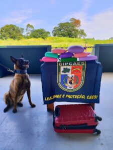 Imagem da notícia - Base Arpão 1: Homem é preso após transportar 9 kg cocaína na bagagem