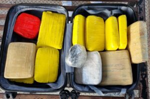 Imagem da notícia - Em Juruá, Polícia Civil prende homem e apreende drogas avaliadas em mais de R$ 300 mil