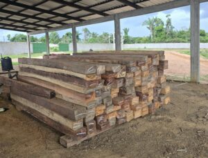 Imagem da notícia - Operação Yara Tupã: PMAM apreende madeiras ilegais em serraria clandestina em Manacapuru