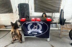 Imagem da notícia - Base Arpão: PMAM apreende 5kg de cocaína com auxílio de cão policial, em Coari