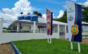 Imagem da notícia - Polícias Civil e Militar prendem indígena por incendiar casa de vizinho na zona rural de Humaitá