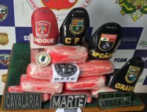 Imagem da notícia - Base Arpão 1: Homem é preso com mais de R$ 500 mil em drogas escondidas em malas