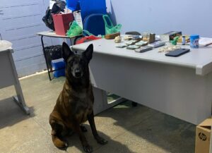 Imagem da notícia - Operação Fronteira Mais Segura: Em Urucurituba, PC-AM prende trio, apreende drogas e mais de R$ 5,5 mil ligados ao tráfico de drogas