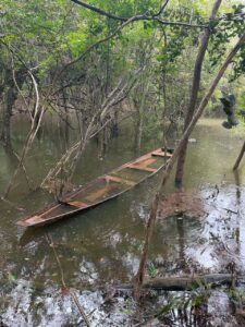 Imagem da notícia - Em menos de 12 horas, PC-AM apreende adolescente envolvido em latrocínio em Maués
