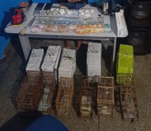 Imagem da notícia - Em  patrulhamento no interior, Polícia Militar do Amazonas prende três homens por envolvimento com tráfico de drogas