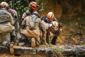 Imagem da notícia - Simulado de busca e resgate em estruturas colapsadas prepara bombeiros para atuarem em cenários de desastres
