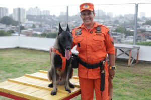 Imagem da notícia - Cães heróis do Corpo de Bombeiros completam 2 anos de vida prestando serviço essencial no resgate de pessoas
