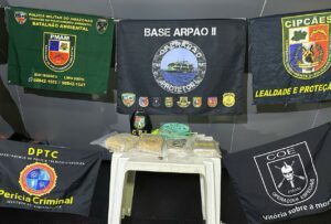 Imagem da notícia - Base Arpão 2: Policiais apreendem drogas escondidas em mochila infantil