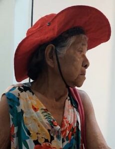 Imagem da notícia - PC- AM solicita divulgação da imagem de idosa que desapareceu em Novo Airão