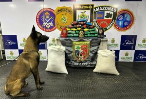 Imagem da notícia - Base Arpão 3: Polícia apreende 36 quilos de drogas em sacos com farinha