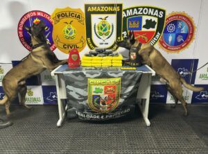 Imagem da notícia - Base Arpão 3:  PMAM apreende 20kg de entorpecentes camufladas no forro de um freezer