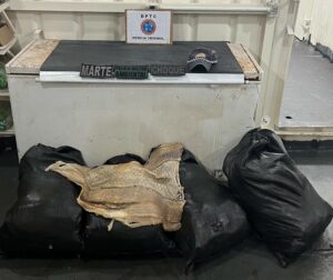 Imagem da notícia - Base Arpão: PMAM apreende 210 kg de pirarucu transportado ilegalmente