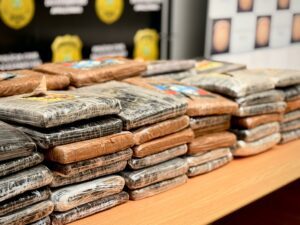 Imagem da notícia - Em Barcelos, PC-AM apreende mais de 200 quilos de maconha do tipo skunk avaliada em aproximadamente R$ 5 milhões