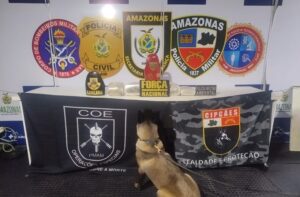 Imagem da notícia - Base Arpão 3: PMAM apreende entorpecentes escondidos em saca de farinha