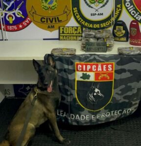 Imagem da notícia - Base Arpão 3: Cadela policial encontra 13 quilos de cocaína escondido em armário de embarcação