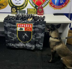 Imagem da notícia - Base Arpão 3: Cadela policial encontra oito quilos de pasta-base escondida no banheiro de embarcação