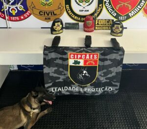 Imagem da notícia - Base Arpão 3: PMAM apreende entorpecente camuflado em banheiro de embarcação