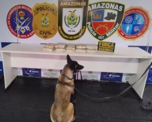 Imagem da notícia - Base Arpão 3: Cadela Ágata auxilia na localização de entorpecentes escondidos no forro de uma geladeira