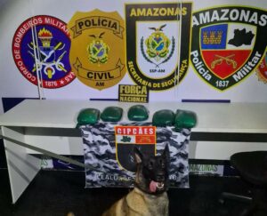 Imagem da notícia - Base Arpão 3: Operação policial apreende nove quilos de drogas escondidos em lixeiras e lonas de embarcação