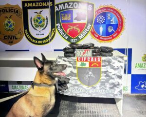 Imagem da notícia - Base Arpão 3: Cadela policial encontra 12 quilos de drogas em bagagem