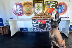 Imagem da notícia - Base Arpão 3: Em duas ações distintas, PMAM apreende mais de 26 quilos de drogas em embarcações